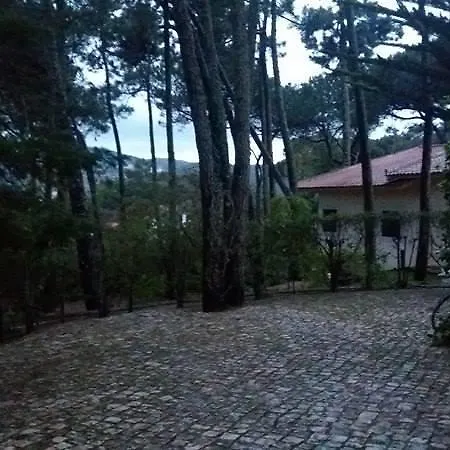 ヴィラ Casa Do Pinhal シントラ