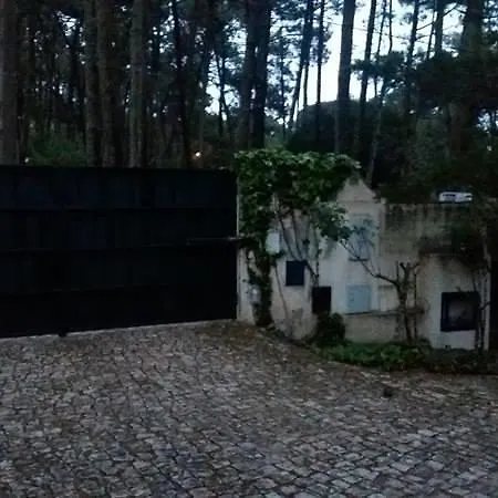 Casa Do Pinhal ヴィラ シントラ