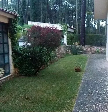 ヴィラ Casa Do Pinhal