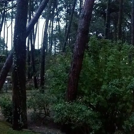 ヴィラ Casa Do Pinhal