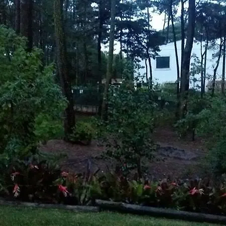 Casa Do Pinhal